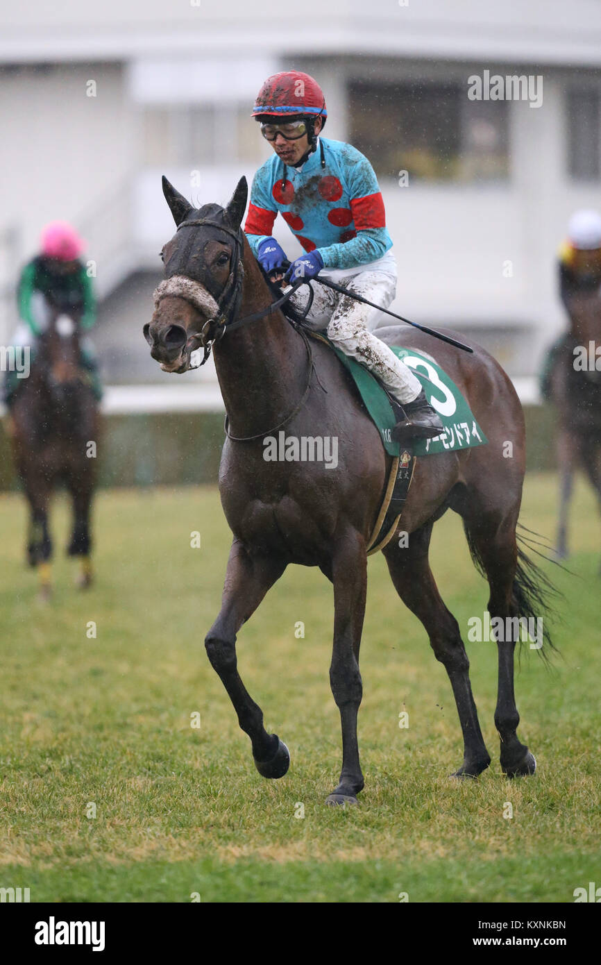 Almond eye horse hires stock photography and images Alamy