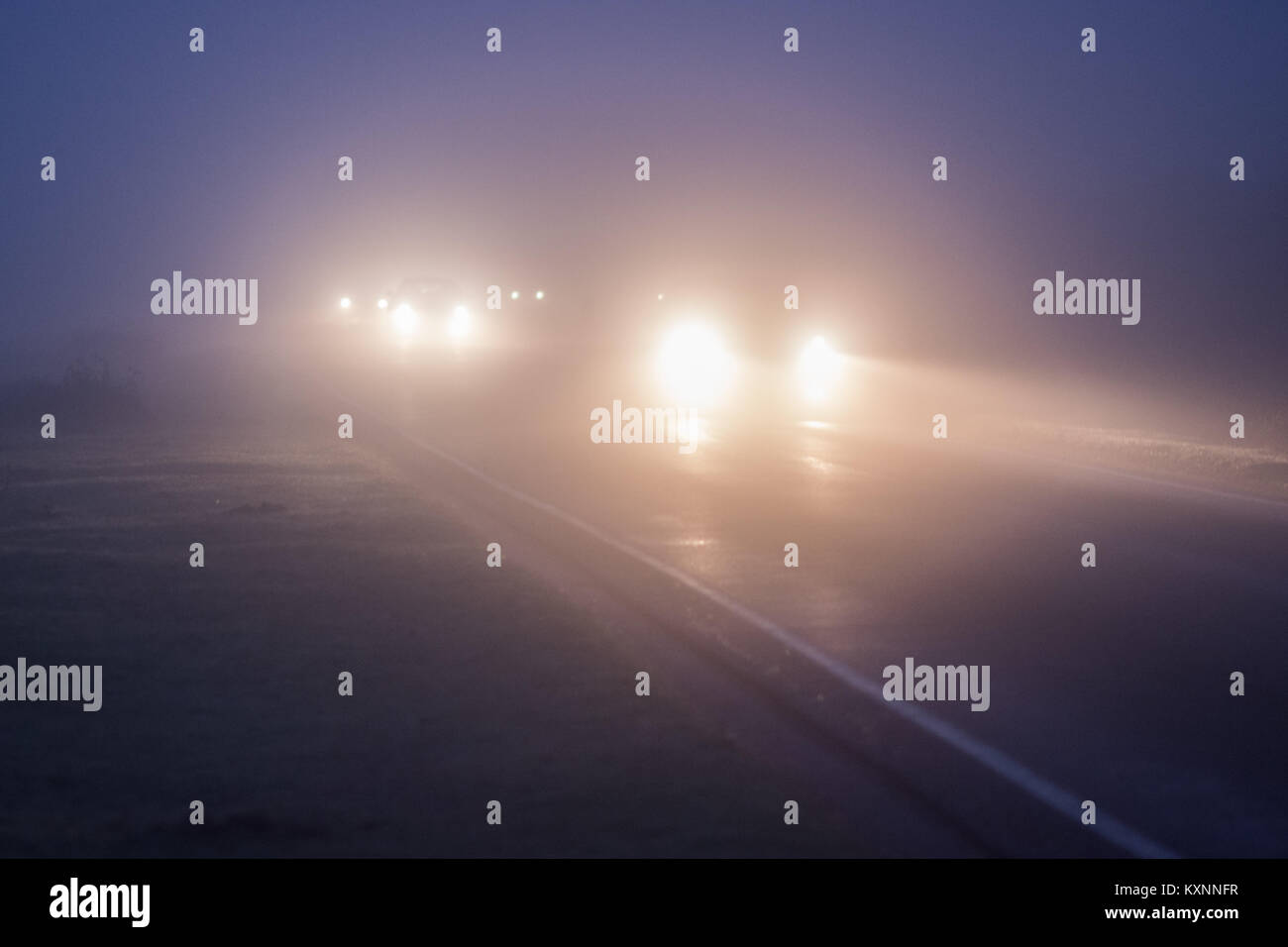 Car headlights in fog Stock Photo Alamy