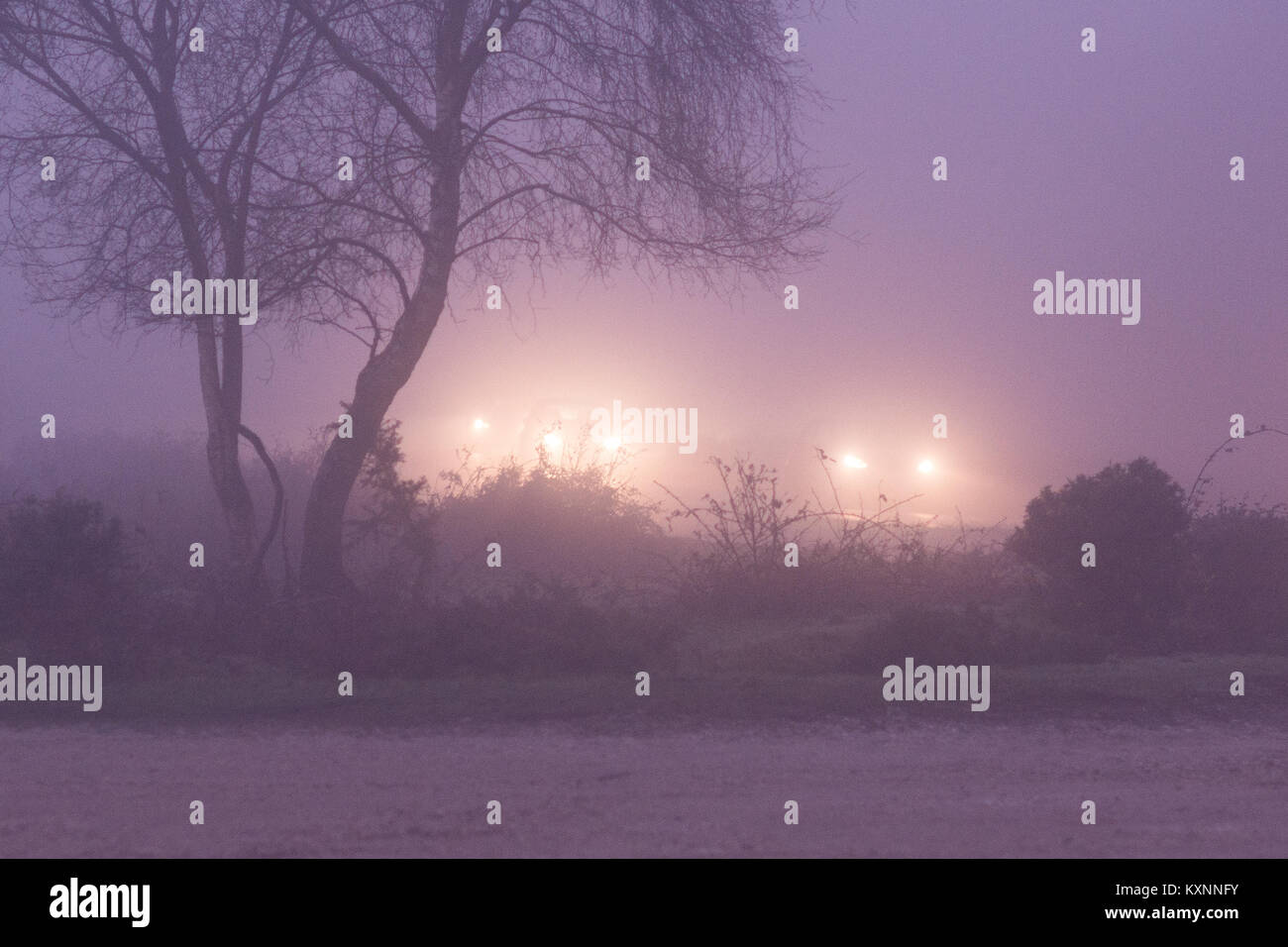 Car headlights in fog, New Forest, Hampshire Stock Photo Alamy