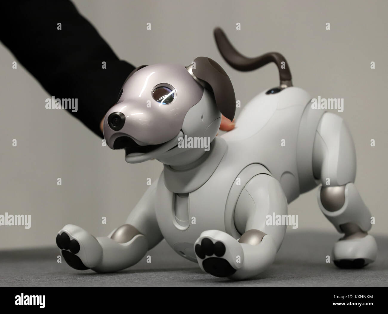 japanese robot dog