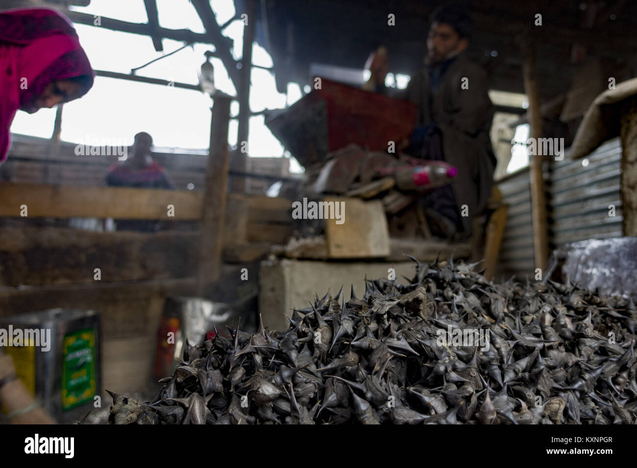 December 23, 2017 Kolhom, Jammu and Kashmir, India A Kashmiri man