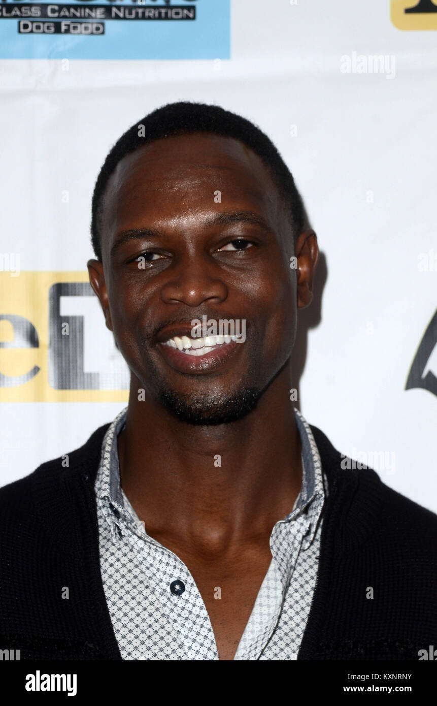 HOLLYWOOD, CA - JANUARY 10: Newton Mayenge at the Batman '66