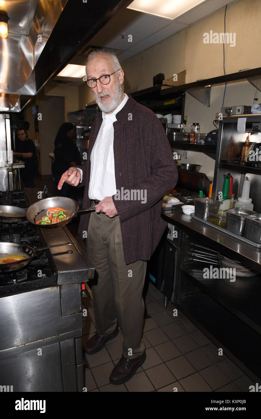 Fort Lauderdale, Florida, USA. 11th January, 2017. Television icon