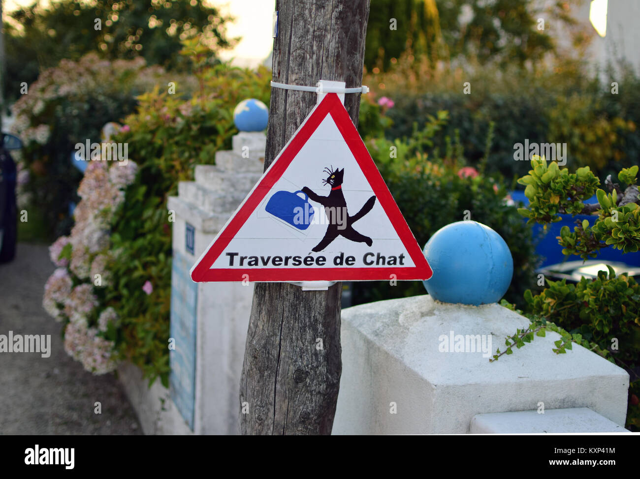 A humourous / funny sign for a cat crossing the road in Brittany / France Stock Photo