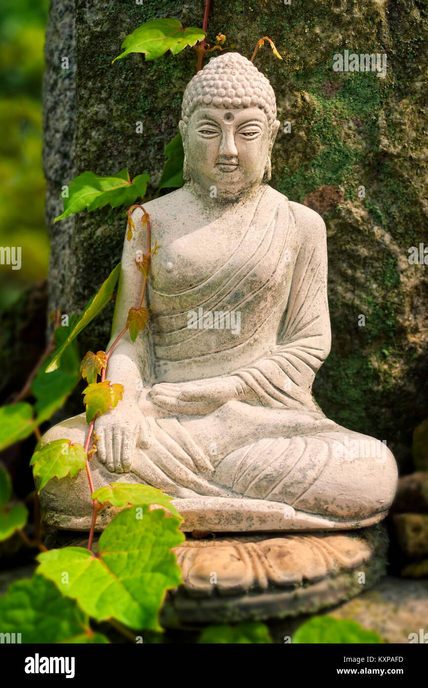 stone buddha statue on rock in forest with creeping plant on its side on warm sunny day Stock Photo