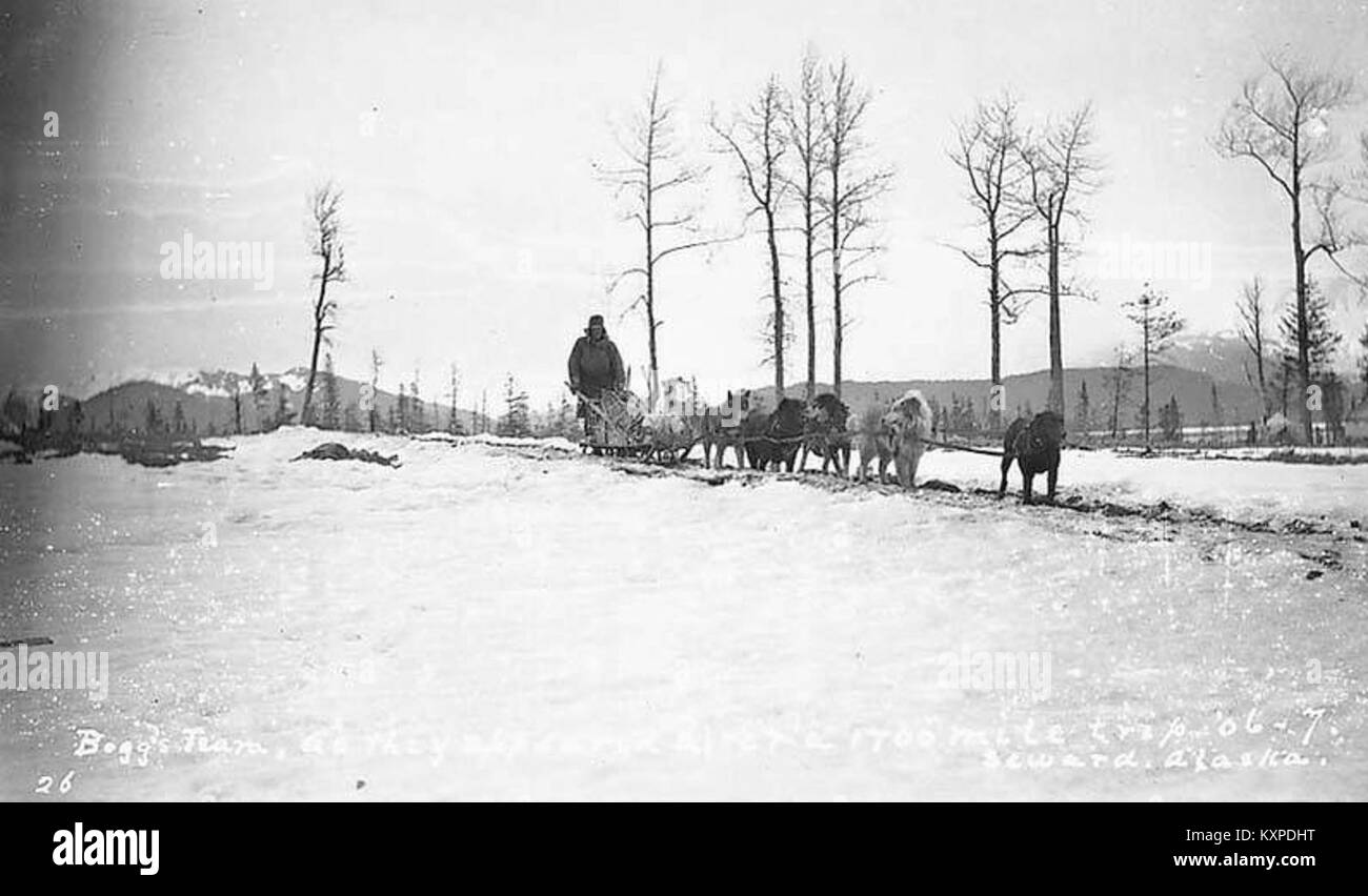 Boggs and dogsled team after 1700 mile trip, Seward, ca 1906 (THWAITES 12) Stock Photo