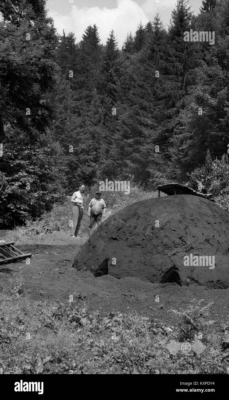 Boharina (Dravinjska dolina), goreča kopa 1963 (2) Stock Photo