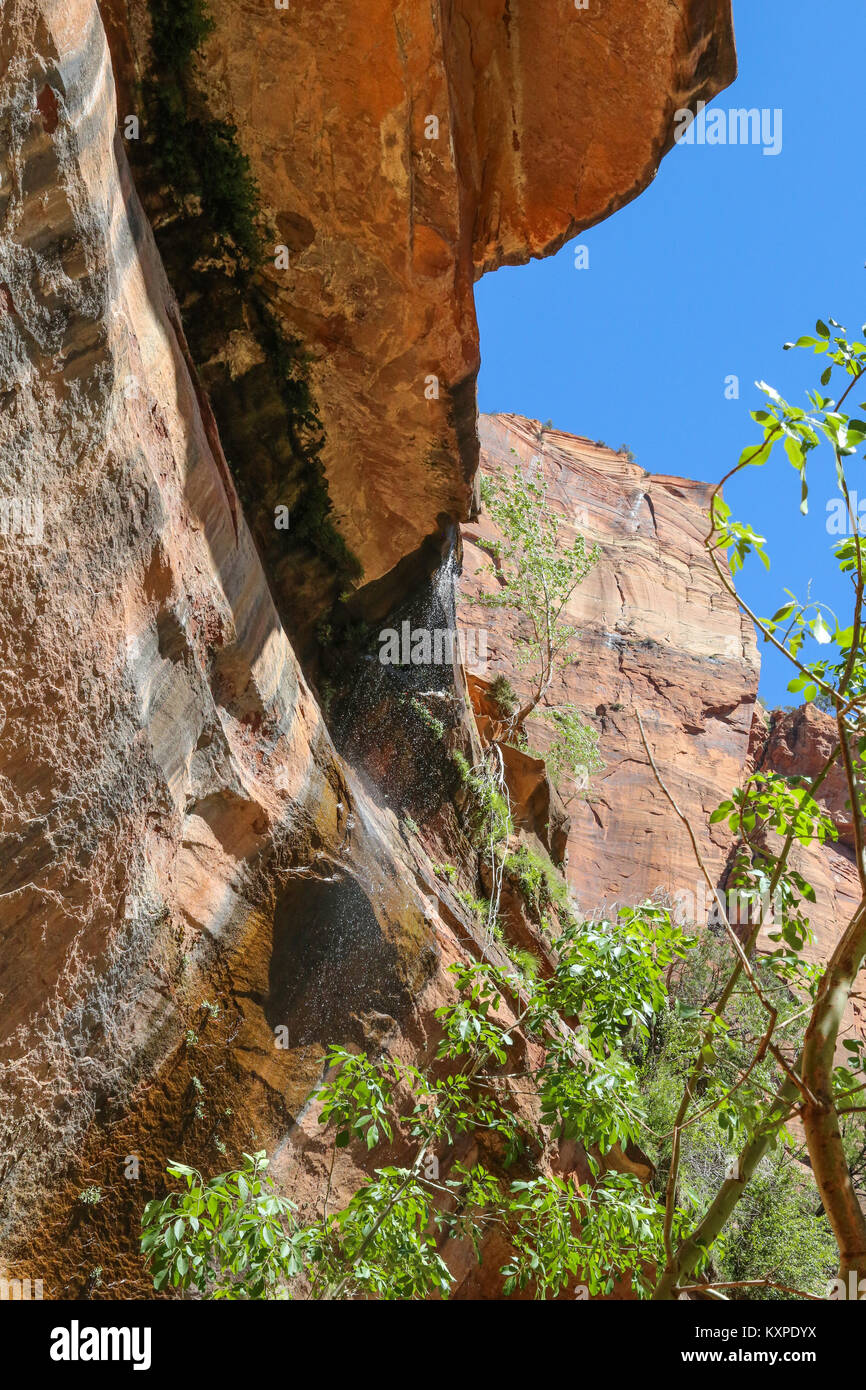 A sandstone cliff on the Emerald Pools Trail in Zion Canyon Stock Photo