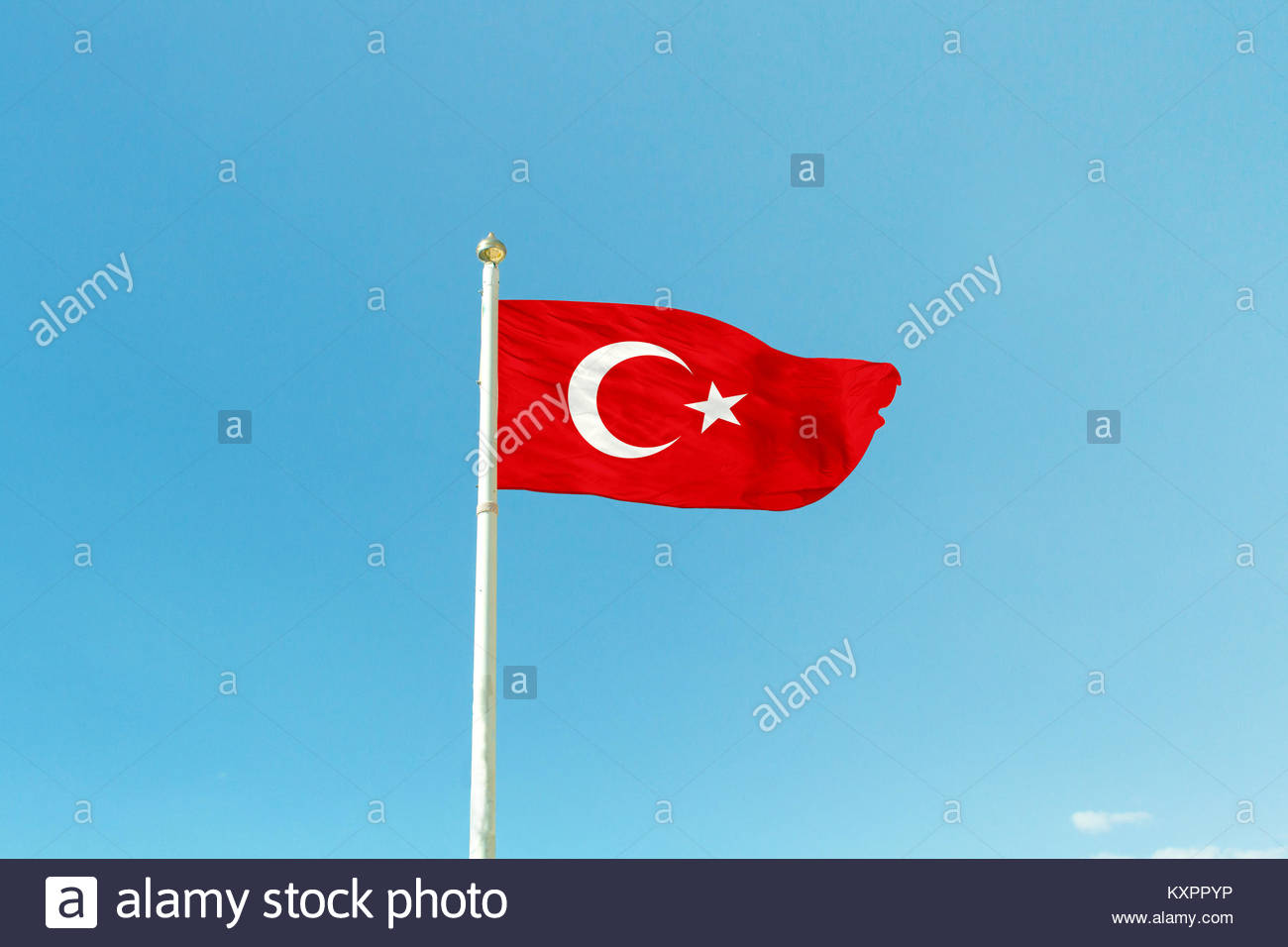 Turky Stock Photos Turky Stock Images Alamy