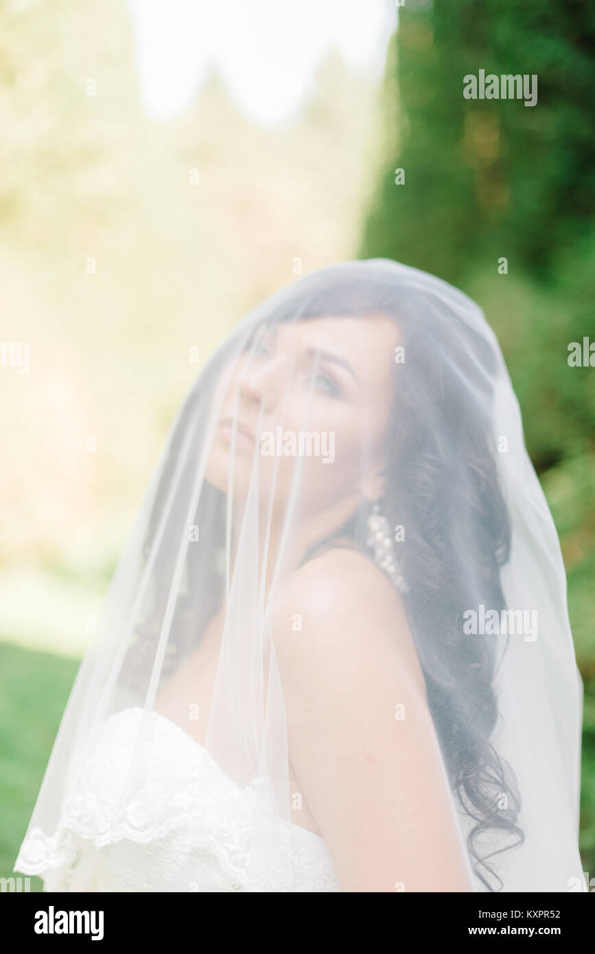 Bride looks up in the sky through the veil Stock Photo - Alamy