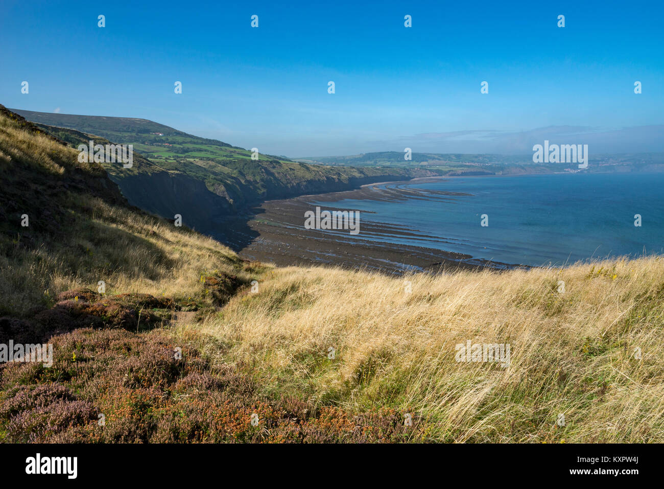 Beautiful coastline at Ravenscar overlooking Robin Hood's Bay, North Yorkshire, England. Stock Photo