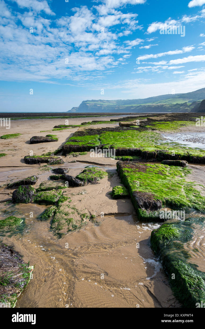 Beautiful beach and high cliffs at Robin Hood's Bay on the coast of North Yorkshire, England. View towards Ravenscar. Stock Photo