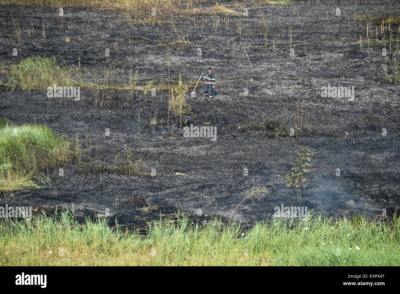 Extinguished fire in  a natural park in summer season Stock Photo