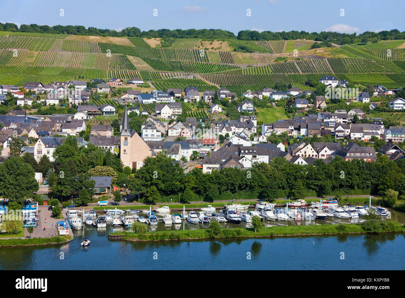Village and Marina at Moselle river, Neumagen-Dhron, oldest wine village of Germany, Rhineland-Palatinate, Germany, Europe Stock Photo