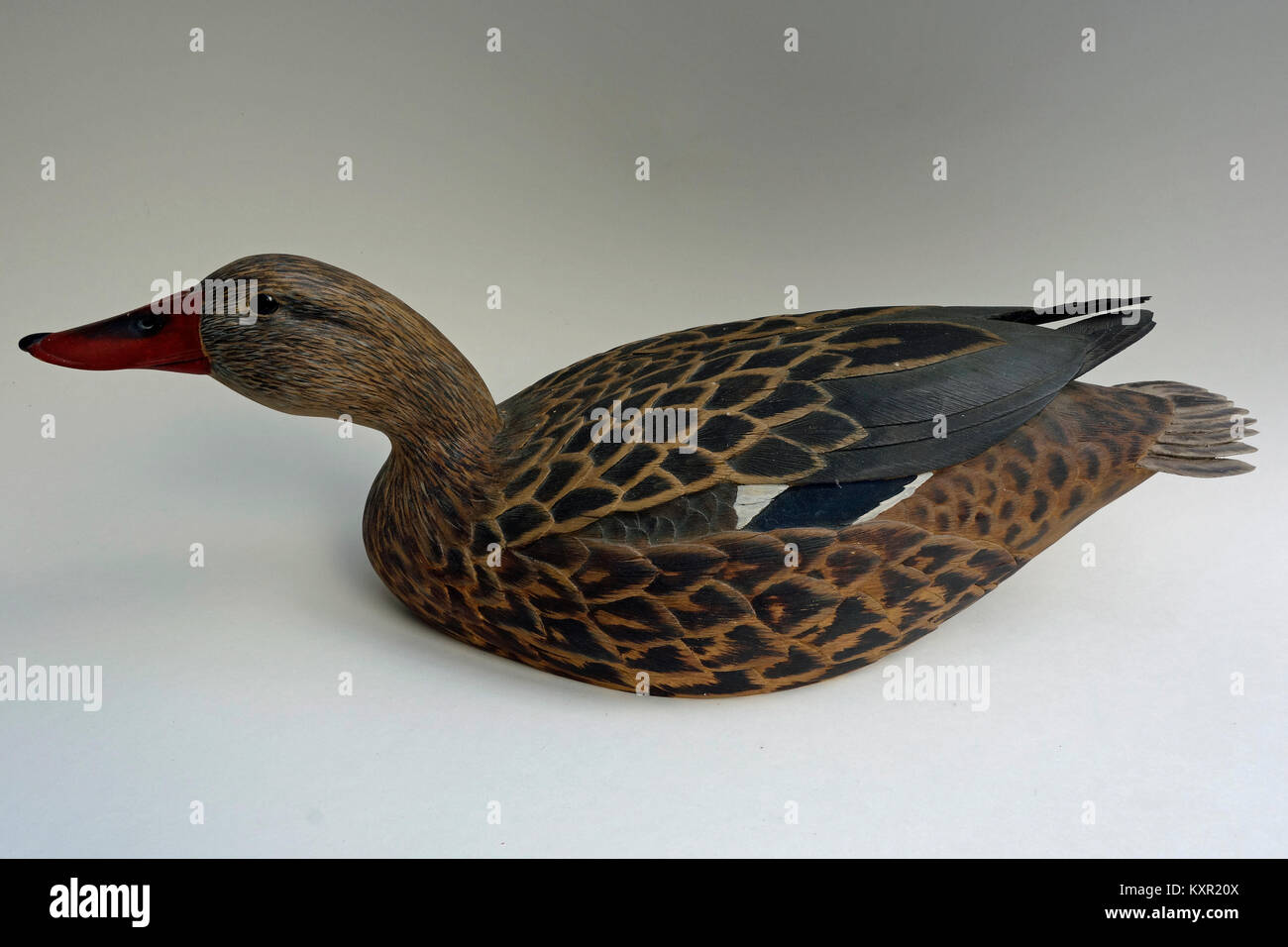 A carved Mallard Duck decoy Stock Photo