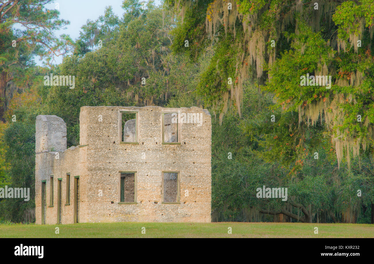 Tabby House ruins, Spring Island, South Carolina, USA, by Bill Lea/Dembinsky Photo Assoc Stock Photo