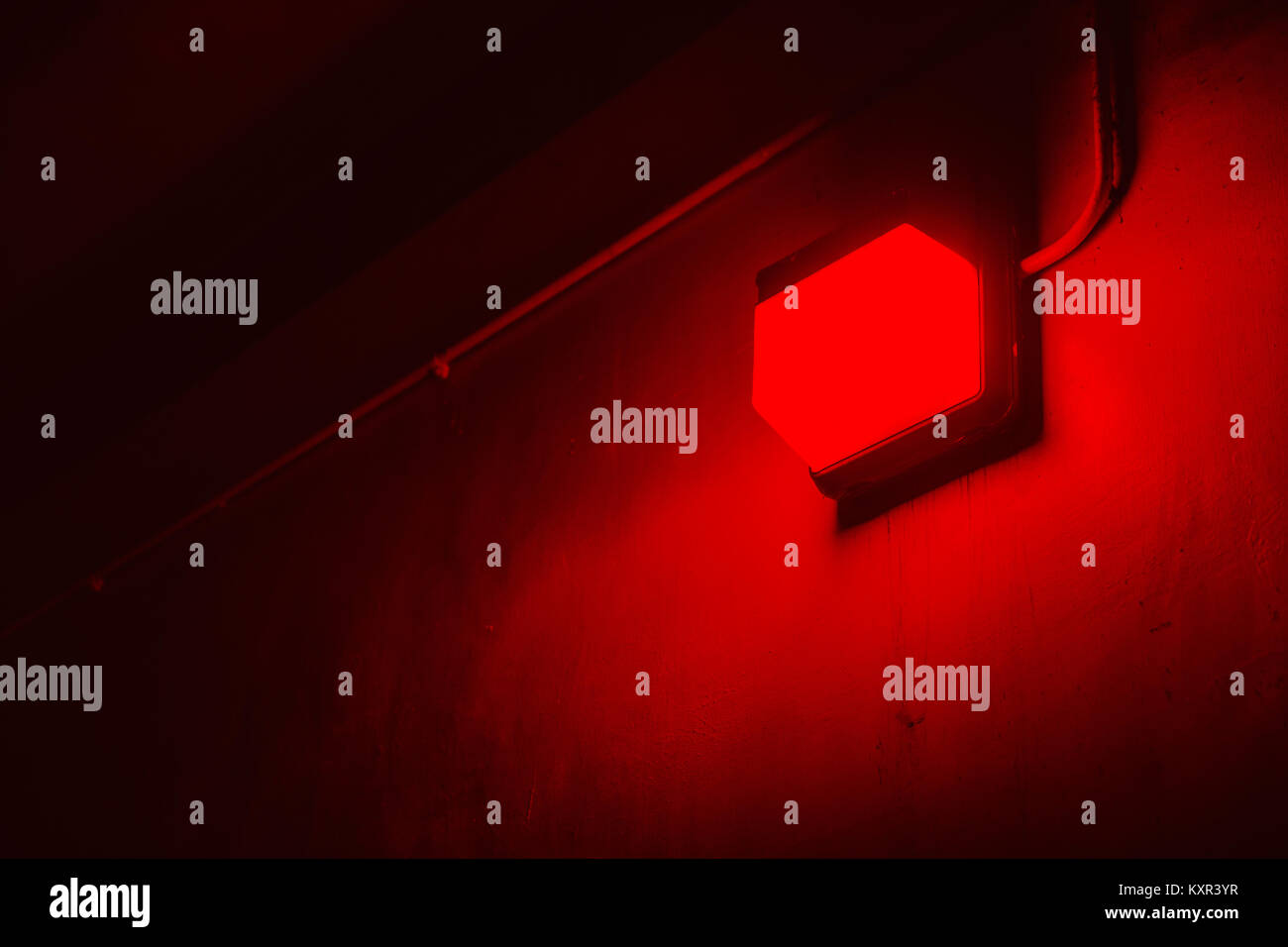 Light sensitive hires stock photography and images Alamy