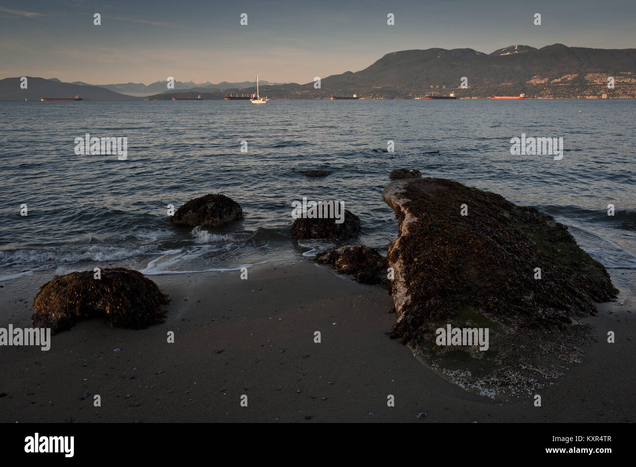 Cypress Mountain, English Bay and freighters are visible in evening light from Jerichoo Beach, Vancouver. Stock Photo