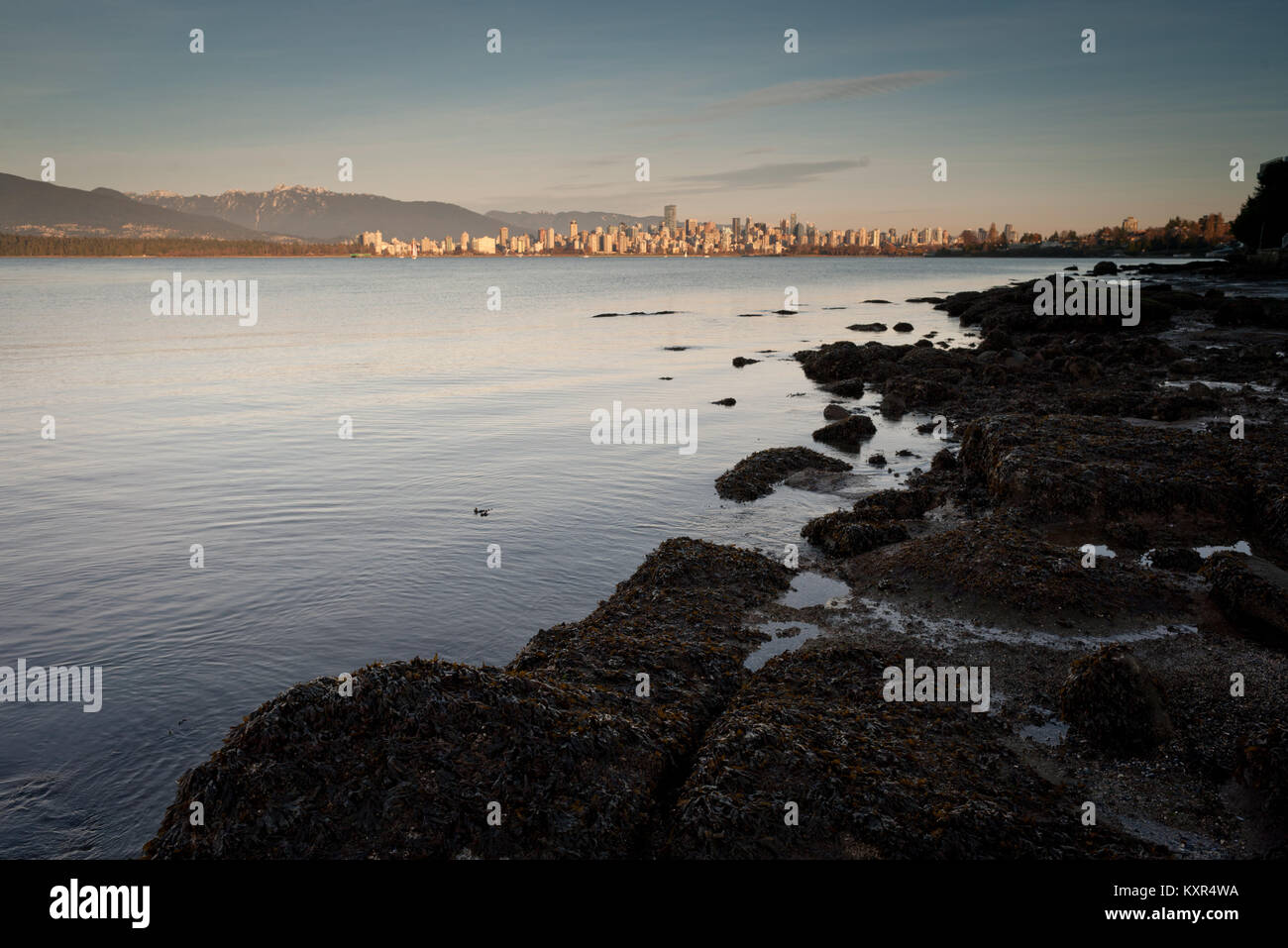 Downtown Vancouver, BC, is bathed in evening sun, across English Bay from Jericho Beach. Stock Photo
