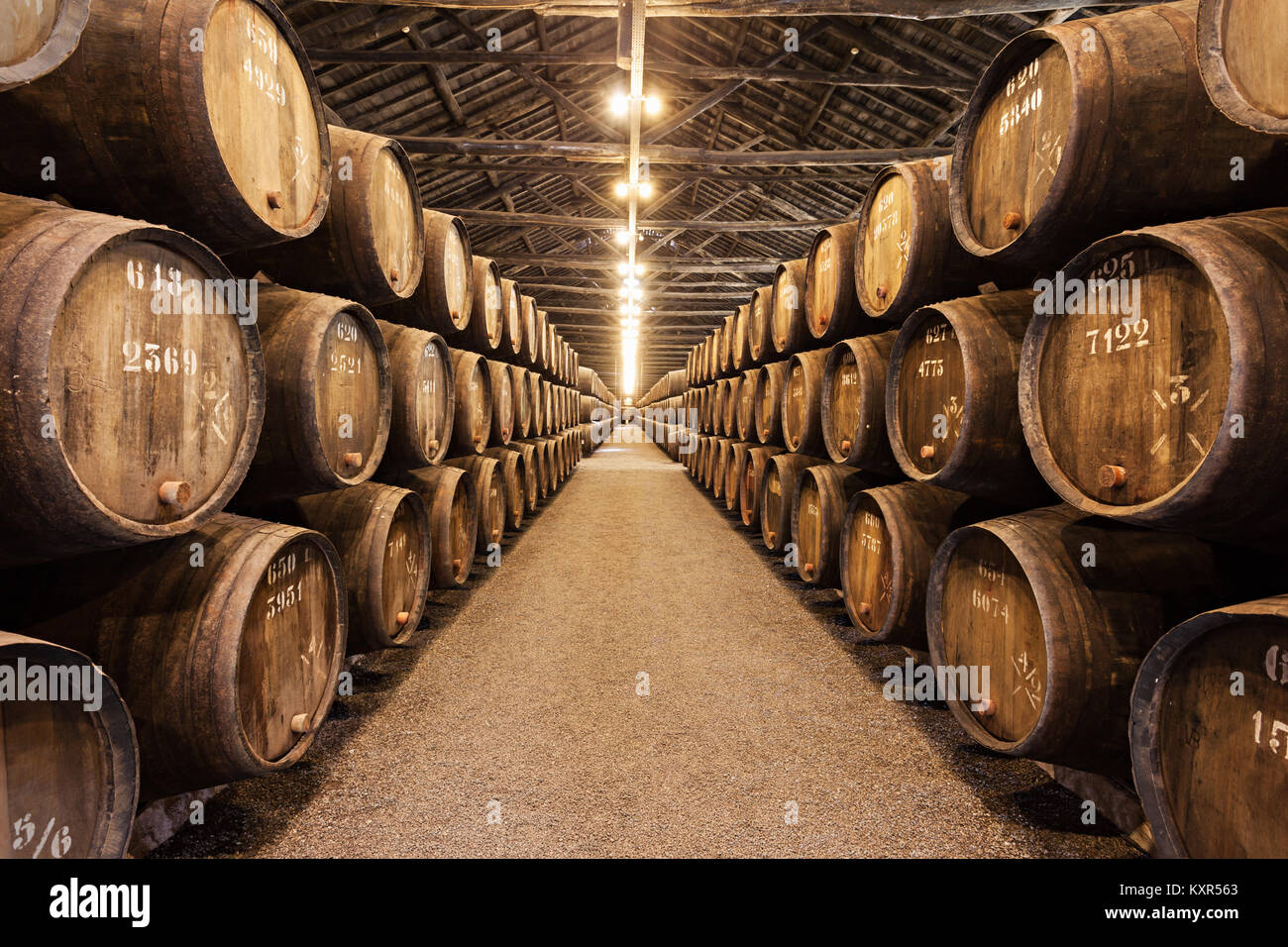 PORTO, PORTUGAL JULY 01 Barrels with Porto Wine in the wine cellar