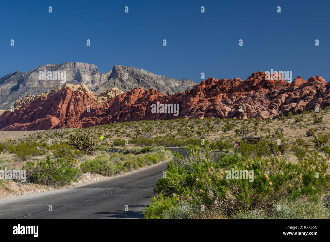 View of the red rock cliffs in the Red Rock Canyon National ...