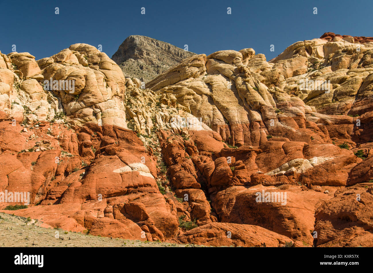Layers of different colored sandstone on a rocky cliff in Red Rock Canyon National Conservation Area. Stock Photo