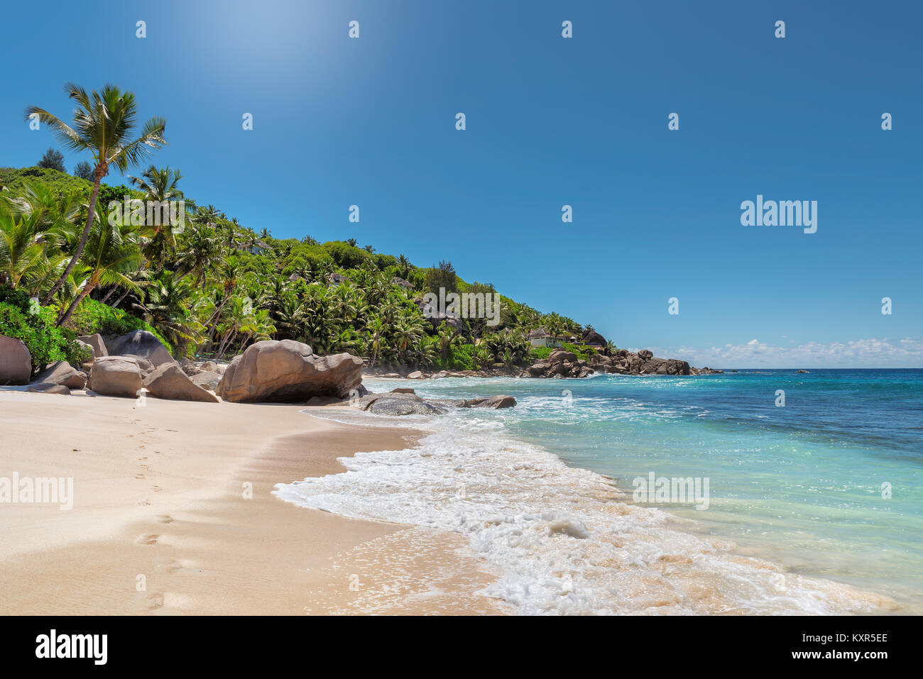 Exotic tropical wallpaper hi-res stock photography and images - Alamy