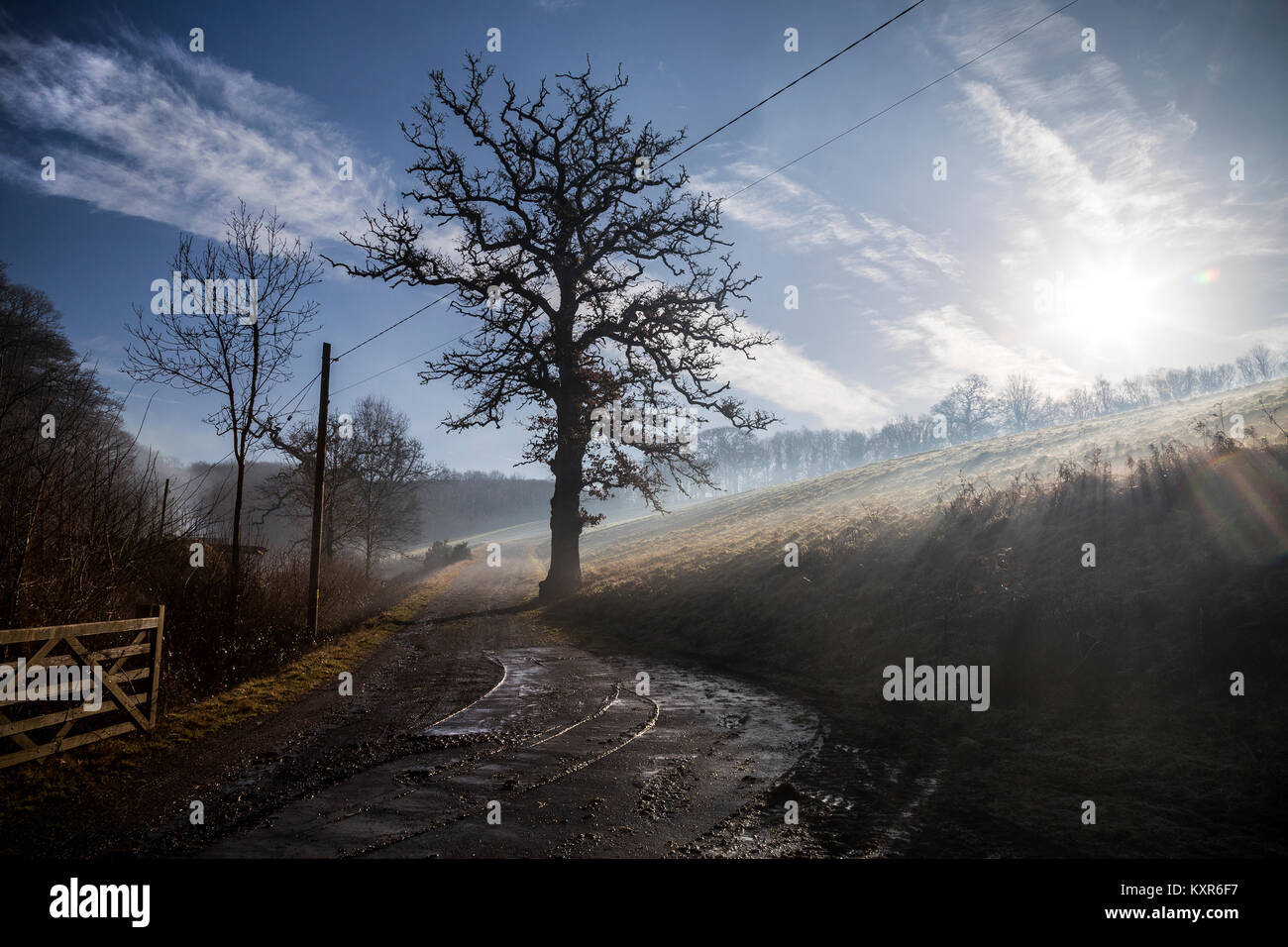 misty morning in Devon,to rain in fine drops; drizzle; mist.haze, fog