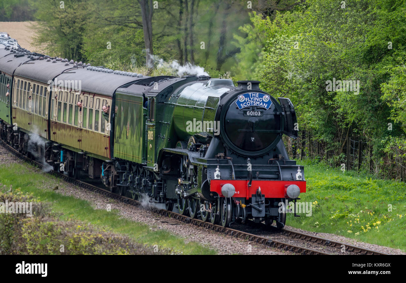 The Flying Scotsman pulls a rake of BR coaches on the Bluebell Railway