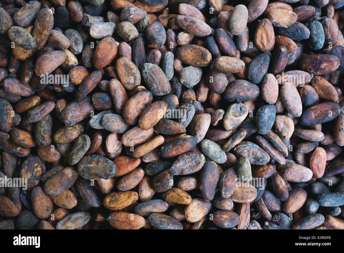 background of cocoa beans Stock Photo - Alamy