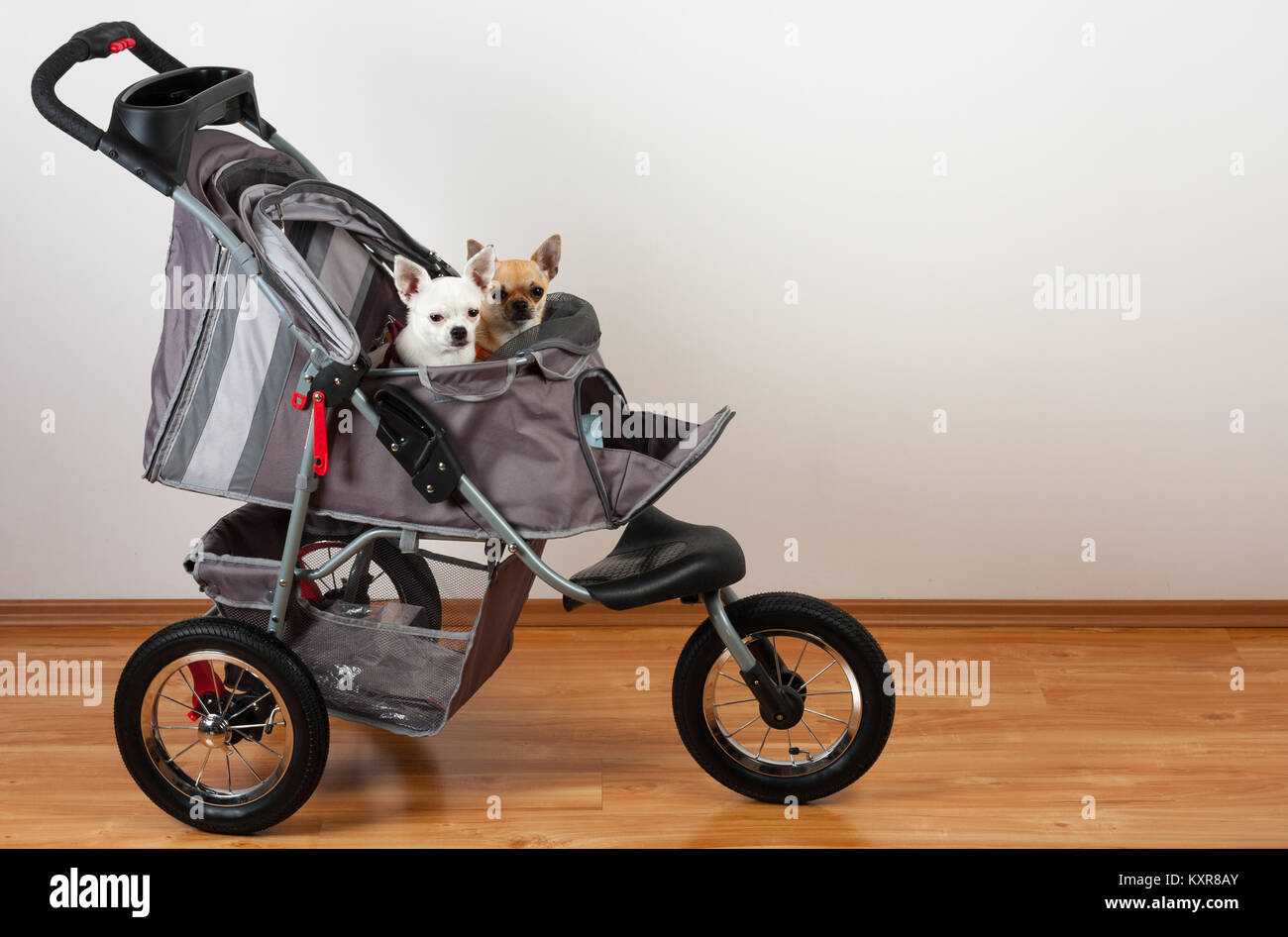 btm dog stroller