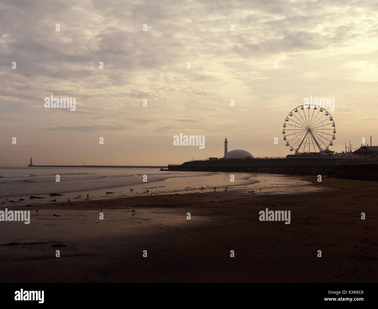 Amusement park on seaside Stock Photo Alamy
