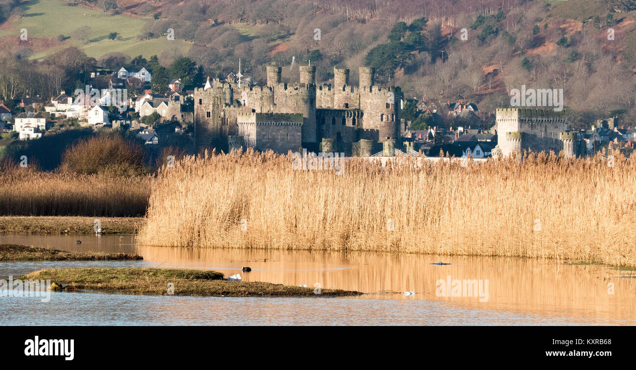 Conwy Castle Stock Photo