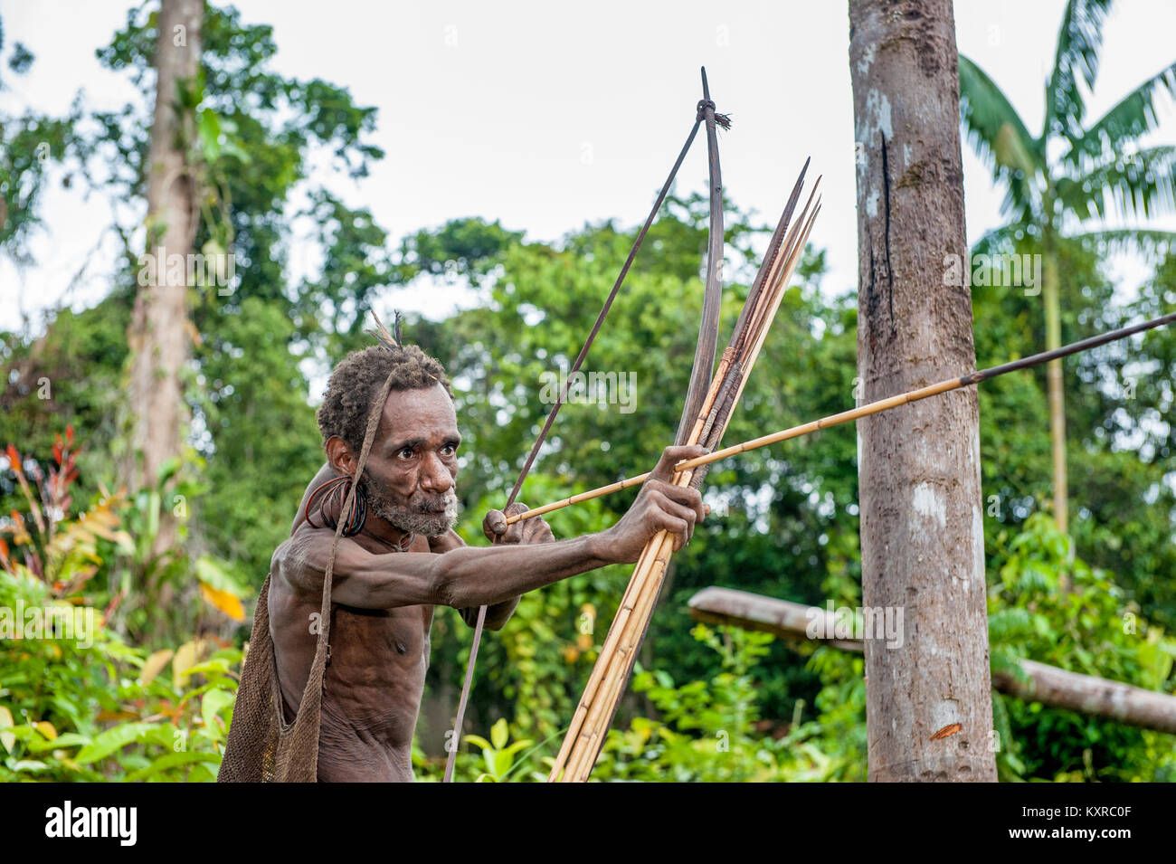 Australasian Tribal Culture Hi res Stock Photography And Images Alamy