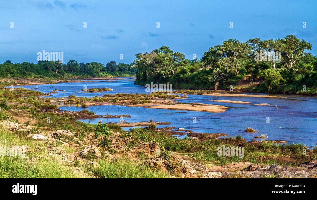 Swingwedzi river in Kruger national park, South Africa Stock Photo