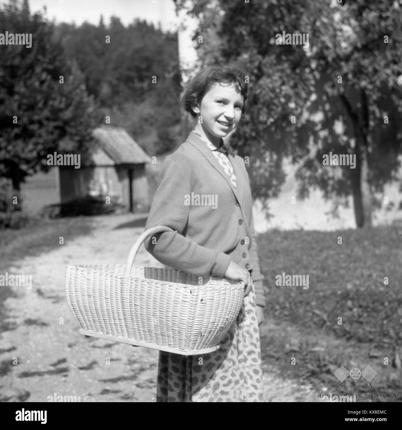 Cajna (košara) za krompir, solato in drugo drobnarijo, Zadlog 1959 Stock  Photo - Alamy