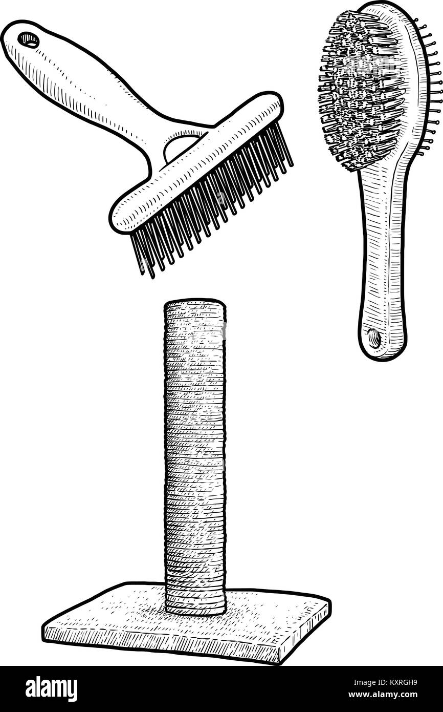 Pet brush and cat scratching post illustration, drawing, engraving, ink