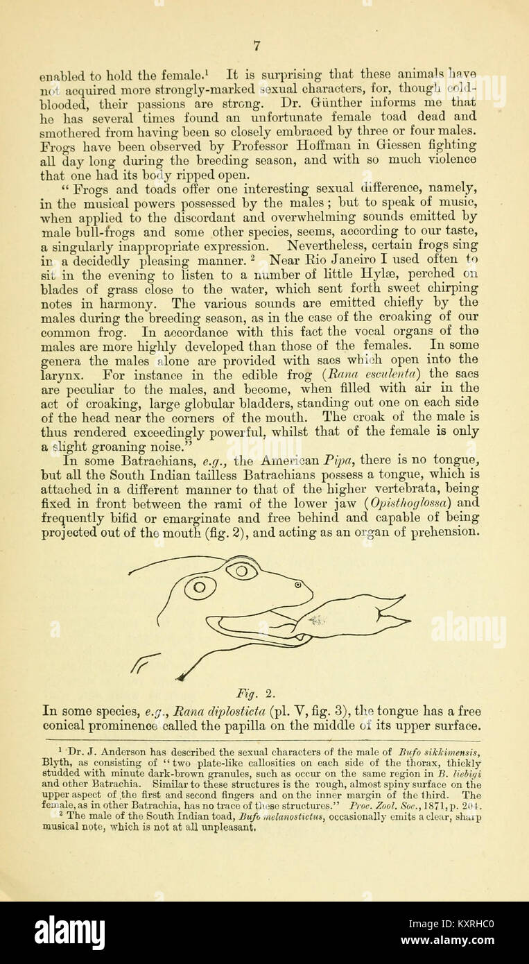 Catalogue of the Batrachia Salientia and Apoda (frogs, toads, and cœcilians) of southern India (Page 7, Fig. 2) BHL9661473 Stock Photo
