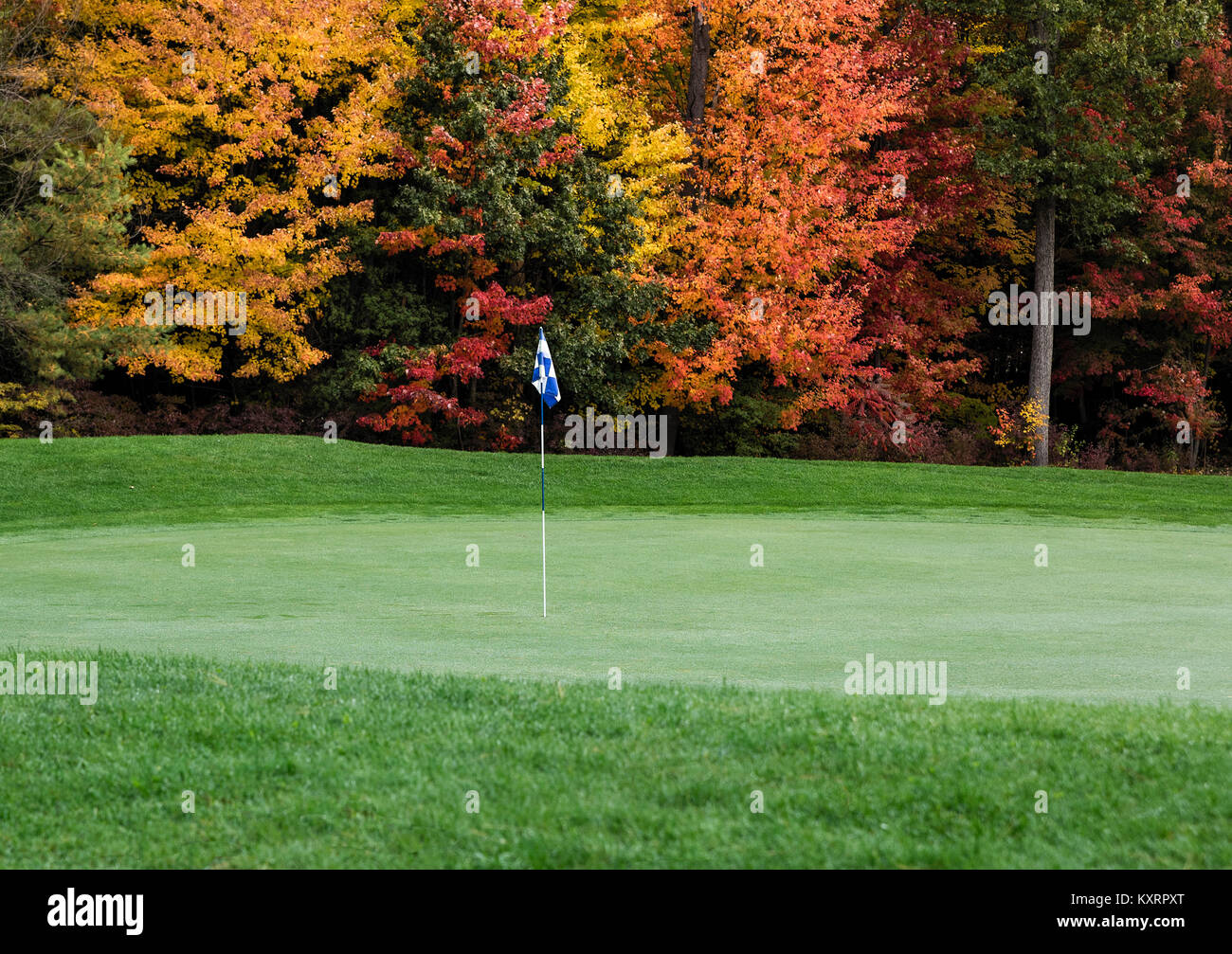 Golf course putting green with autumn foliage. Stock Photo