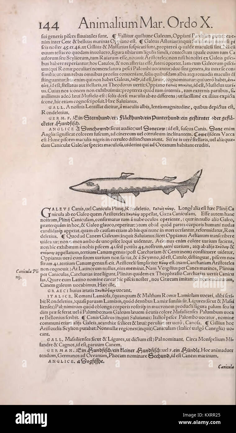 Science Gesner A detailed scientific work by Conrad Gesner, focusing on the history of ...