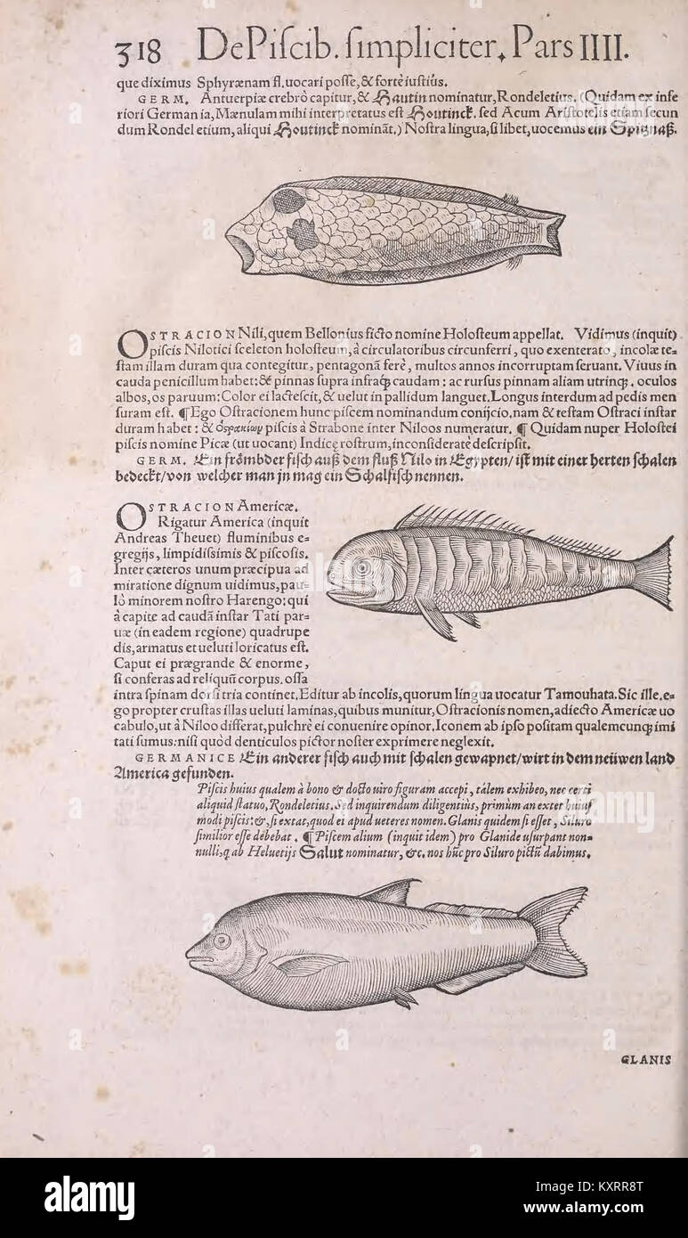 Science Gesner Conrad Gesner's 'Historia Animalium' is a comprehensive Renaissance ...