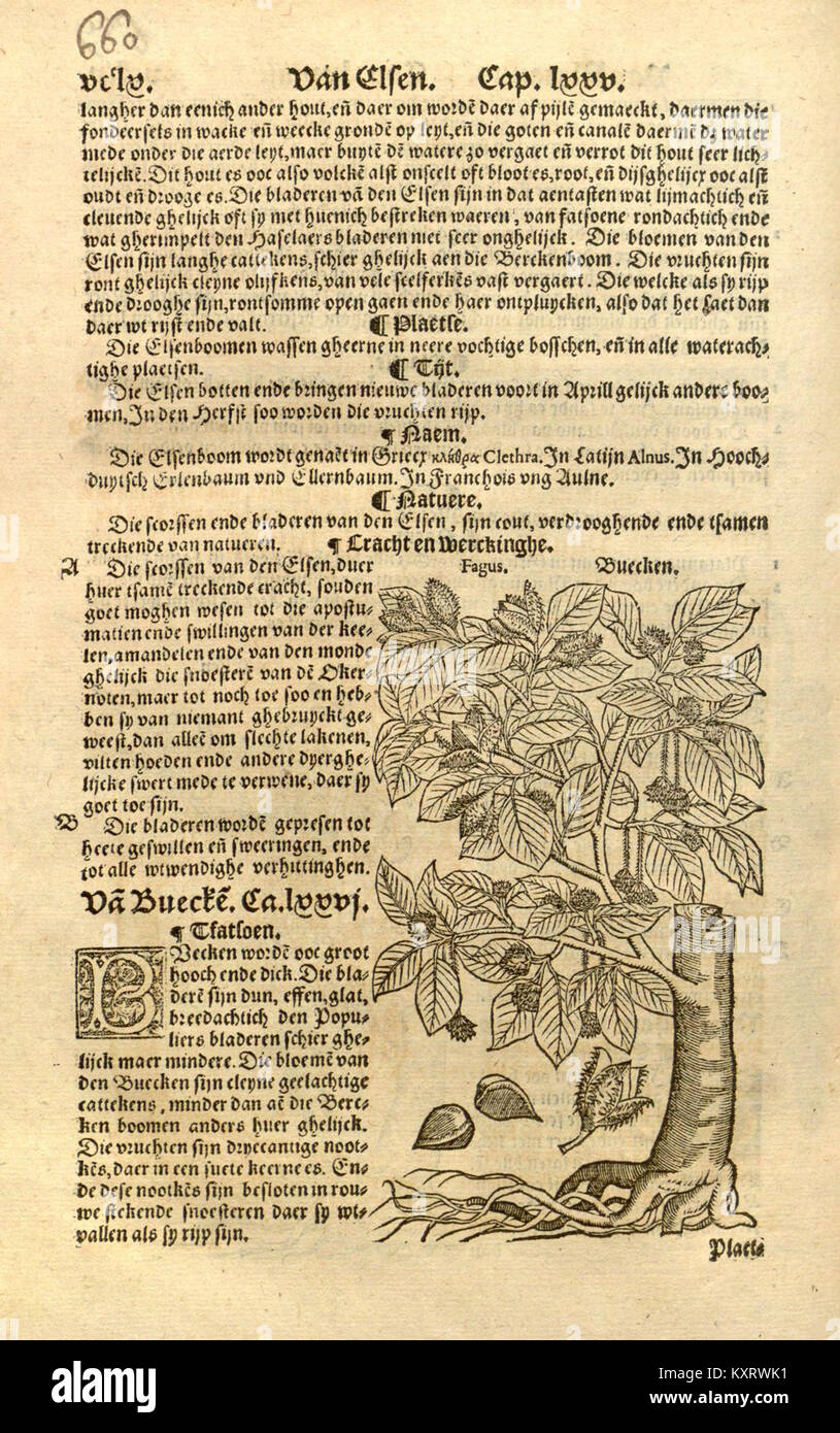 French Monoscript A page from Cru de boeck, a historical French manuscript featuring ...