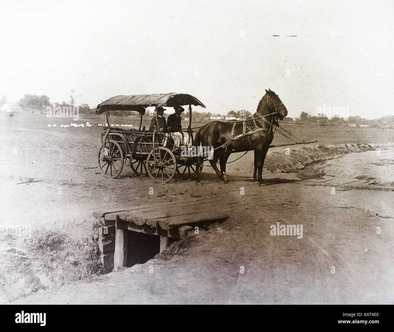 Szeker High Resolution Stock Photography and Images - Alamy