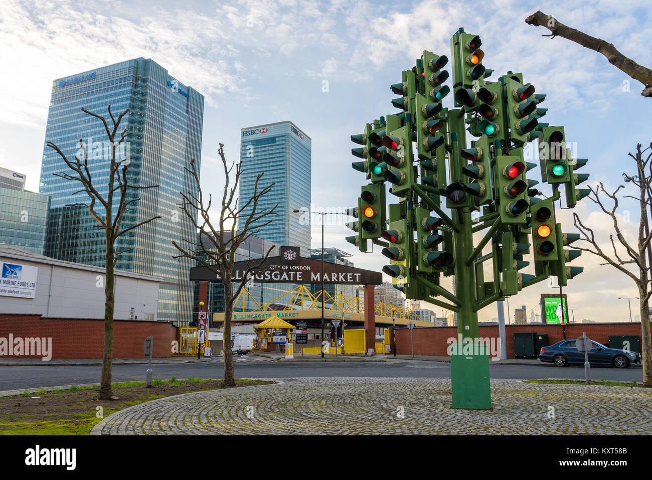 Traffic light tree poplar High Resolution Stock Photography and Images