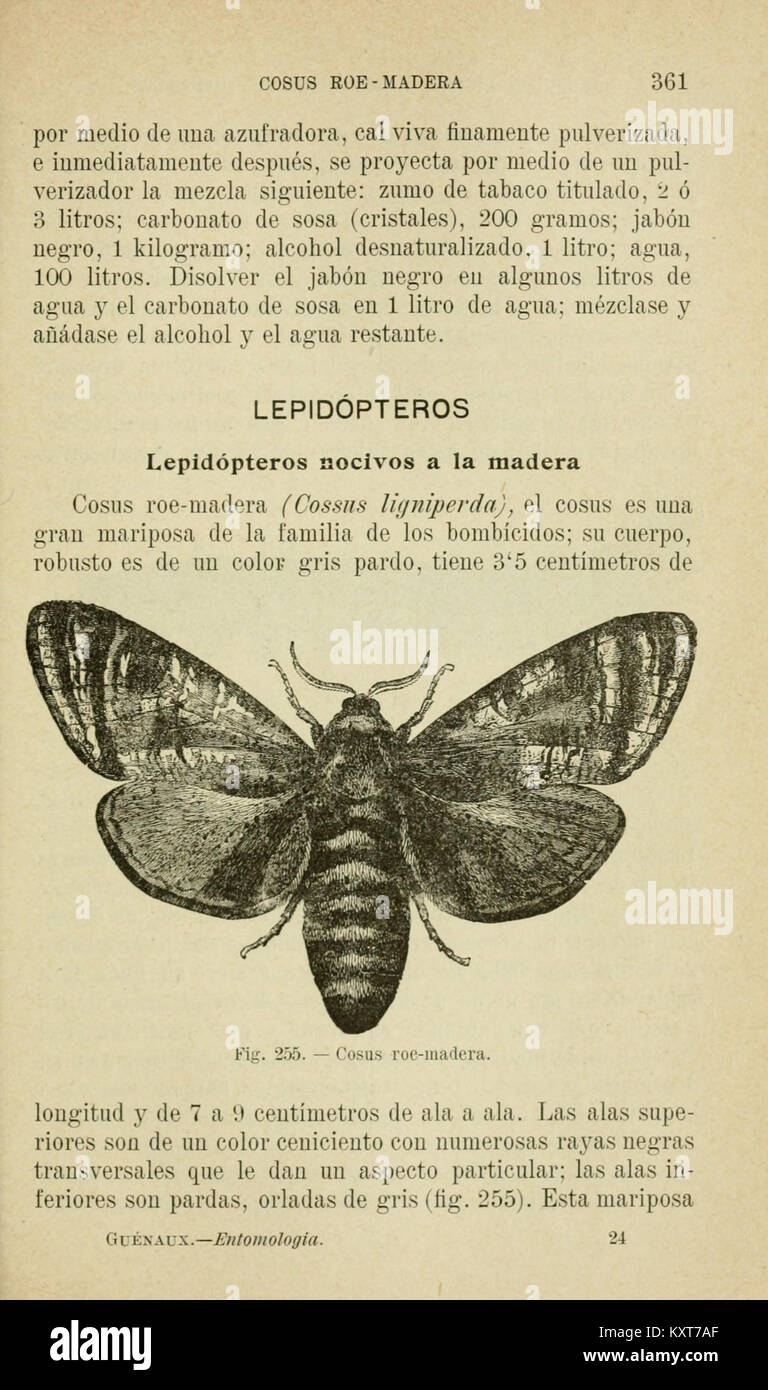This entry is from a scientific work on agricultural entomology and ...