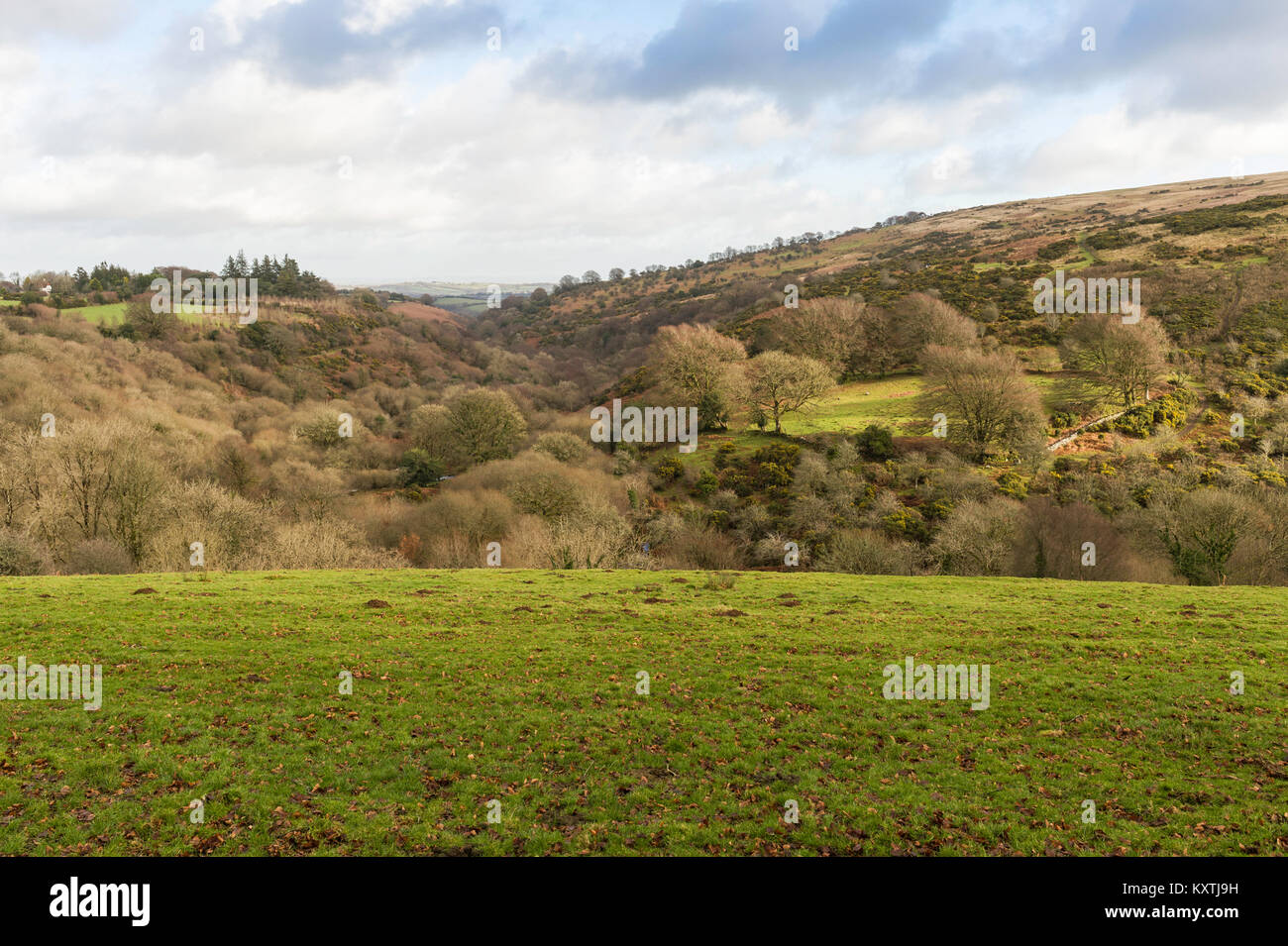 A view across the valley of the River Taw from the green at Belstone, Dartmoor, Devon, UK. Stock Photo