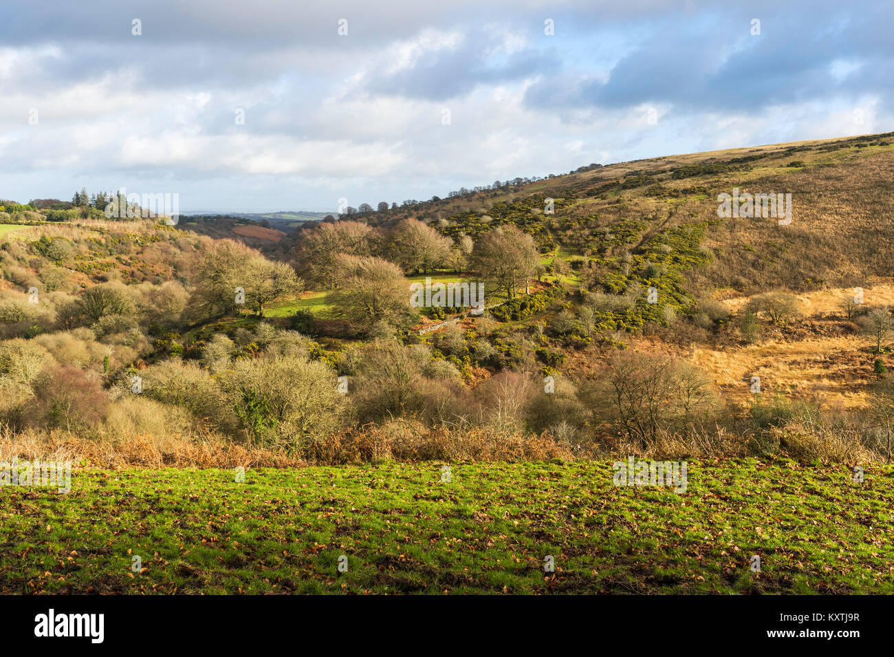 A view across the valley of the River Taw from the green at Belstone, Dartmoor, Devon, UK. Stock Photo