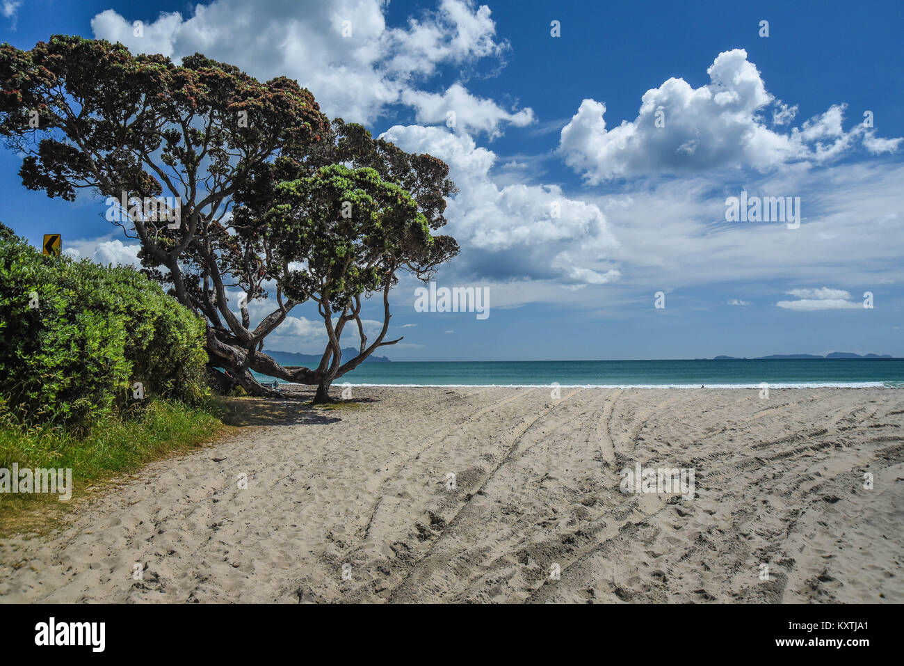 langs sandy beach, New Zealand Stock Photo