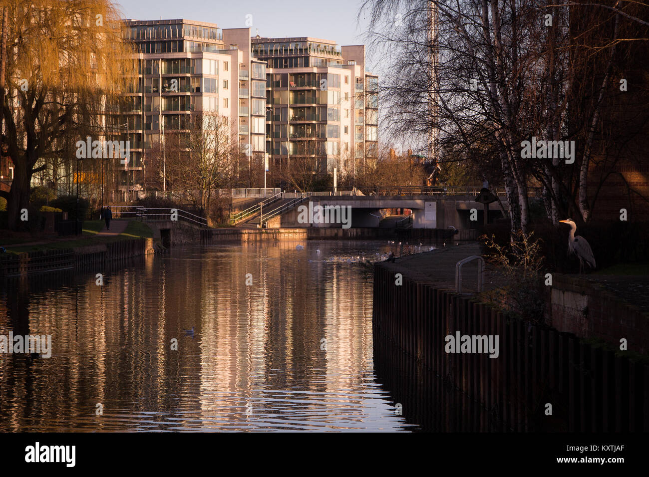 Hale Village is an urban village with sustainability and community at