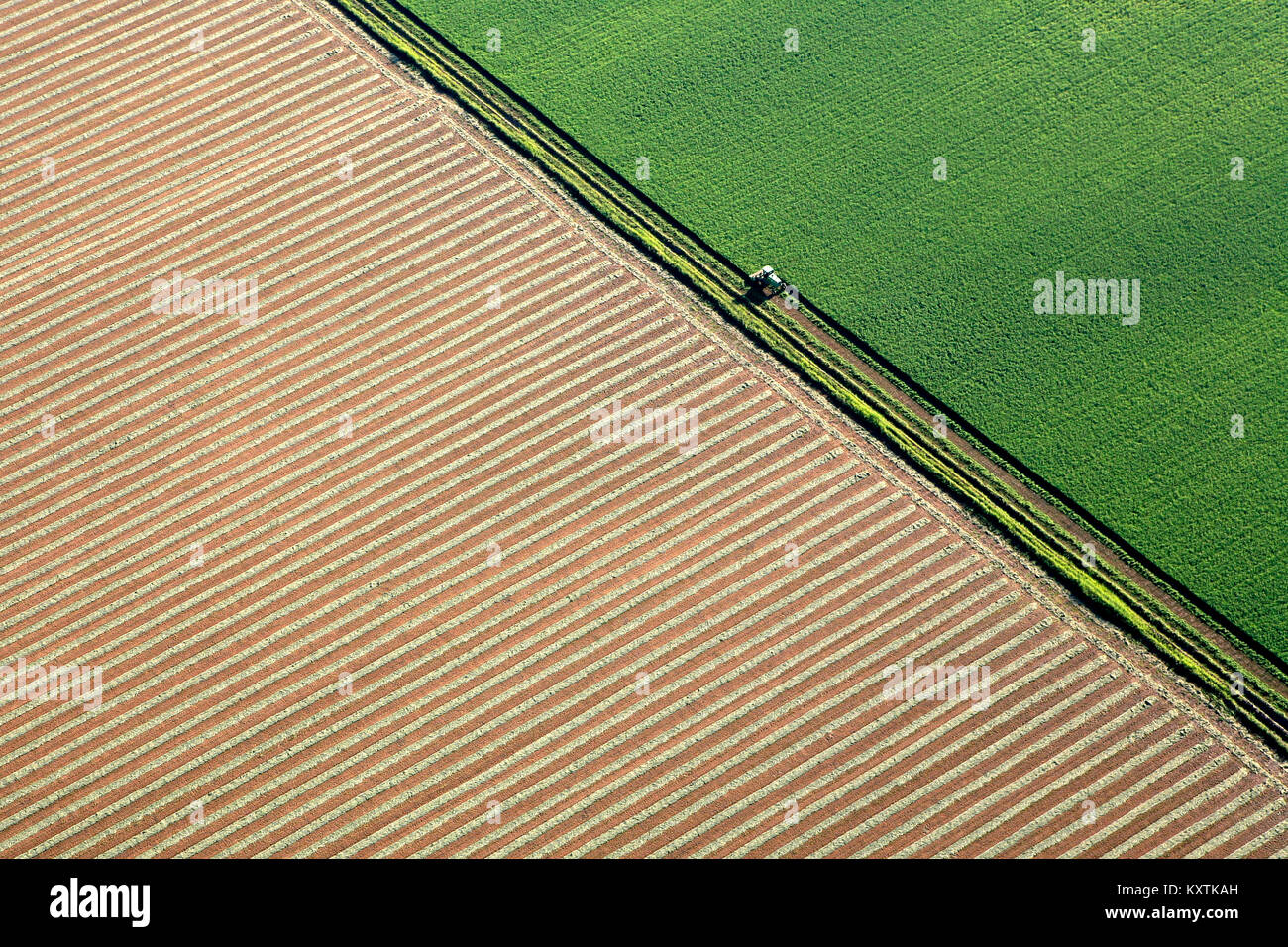 Aerial photograph over farm land in Napa Valley with farmers working. graphic lines interesting angles green and beige colours Stock Photo